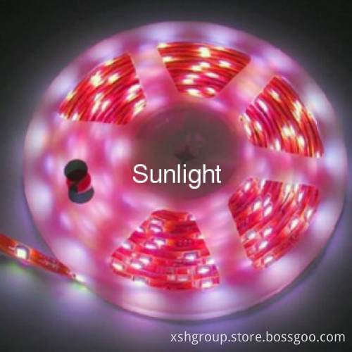 3years warranty LED Soft Strip 14.4W/m 60leds/m SMD5050